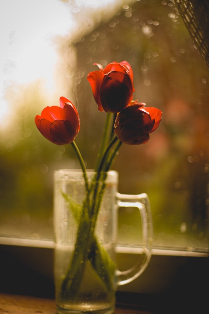 Фотография автора Евгения Аверкиева