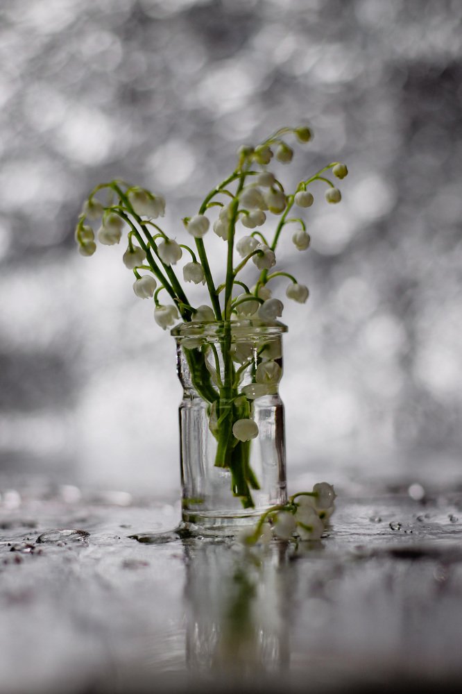 Фотография автора Евгения Аверкиева