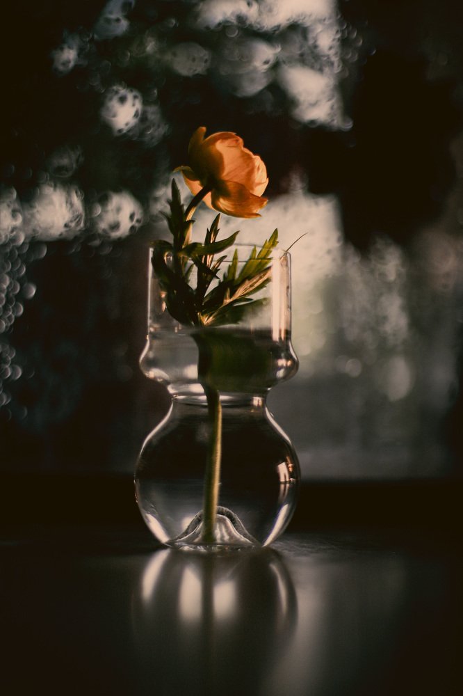 Фотография автора Евгения Аверкиева