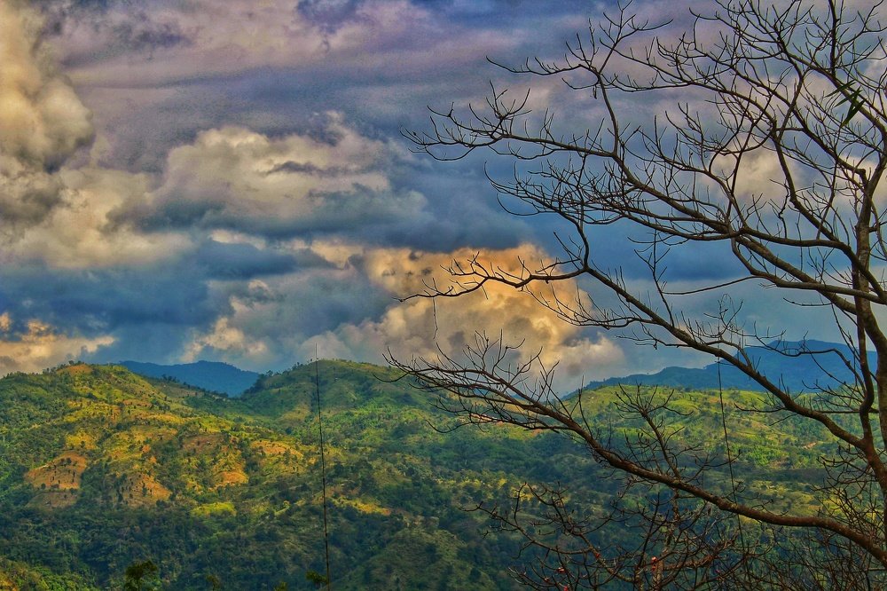 Photograph by Hasib Mehedi Porosh