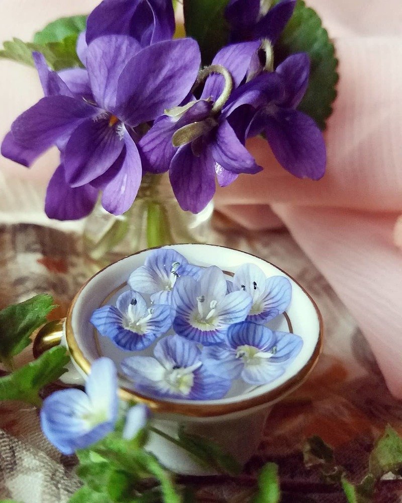 Photograph by Елена