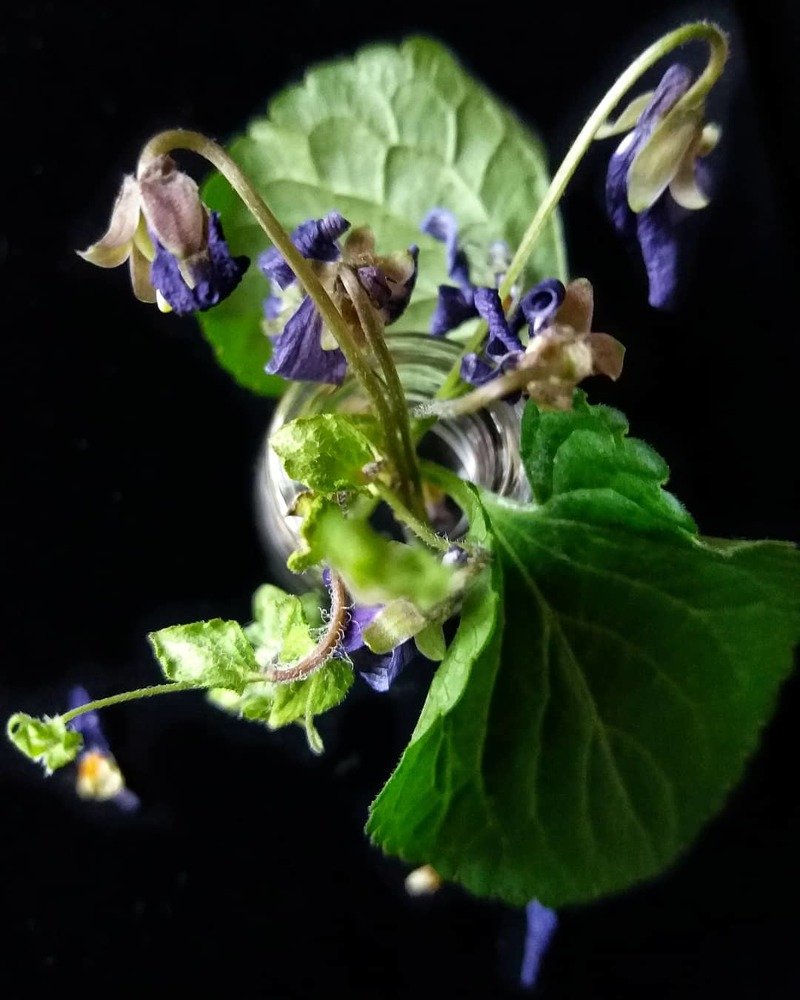 Photograph by Елена