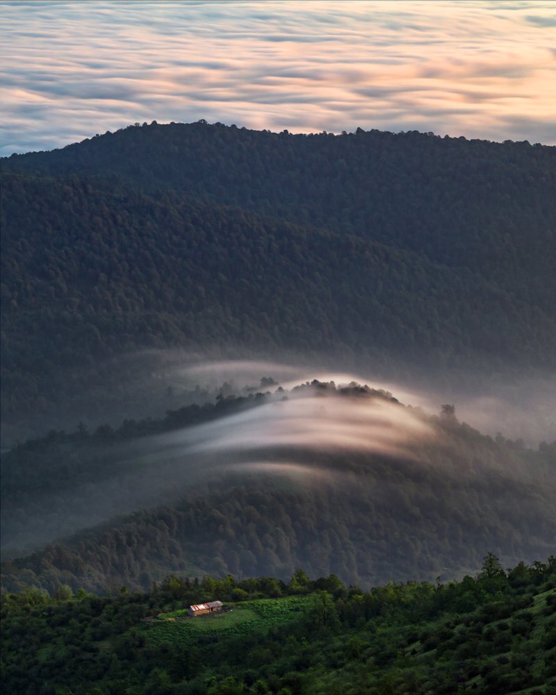 Photograph by hamed moradi