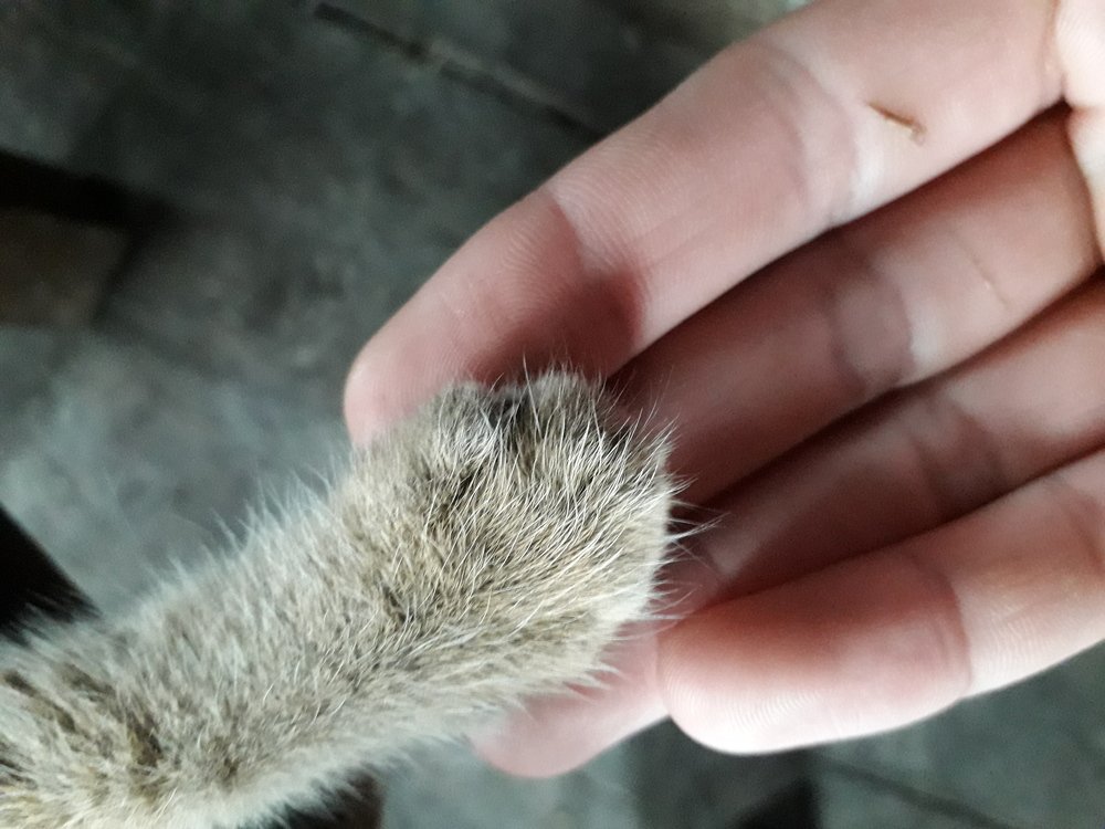 Фотография автора Karma Yangdon