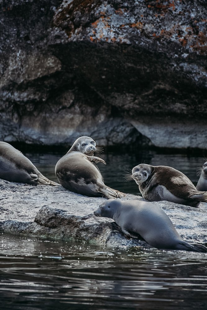 Photograph by Анна Белка