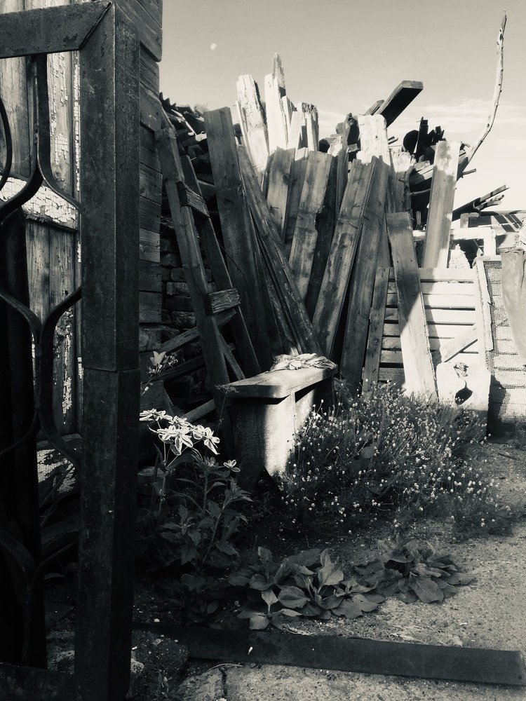 Жизнь после