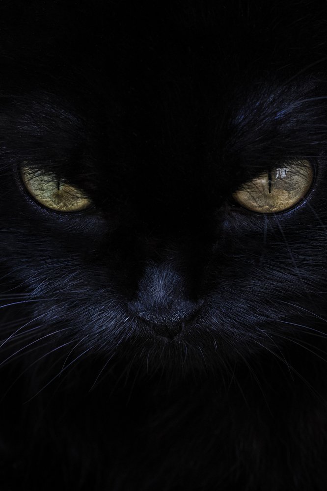 Фотография автора Susanty Tan