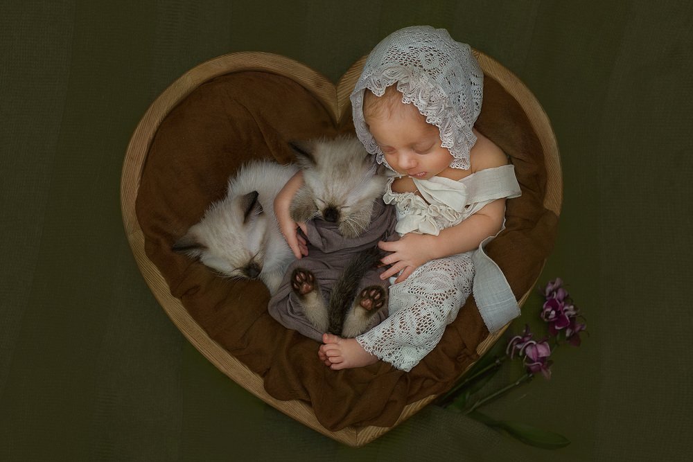 Photograph by Надежда Кураж