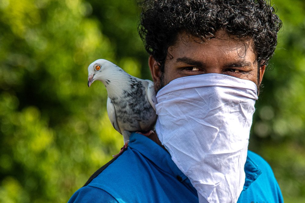 Photograph by Ajayan Kavungal Anat