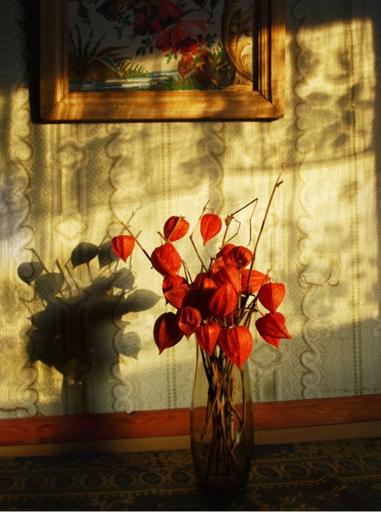 Photograph by Светлана Ульянова