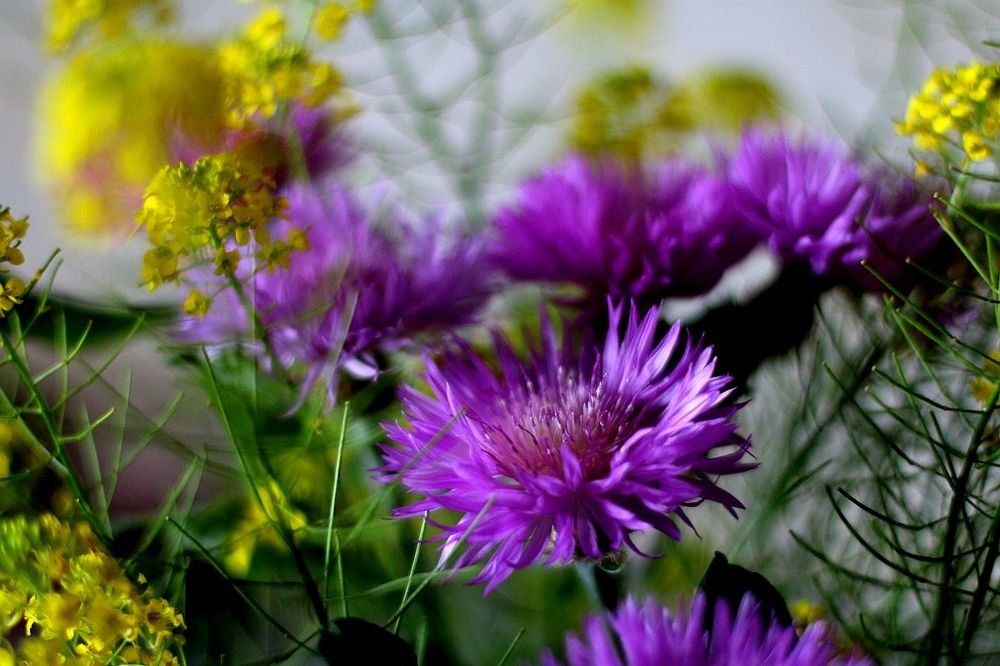 Photograph by Юрий Варюхин