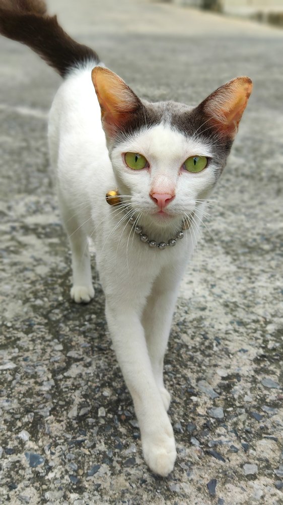 Photograph by TYM XS