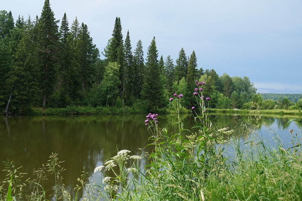 Photograph by Кан Галина