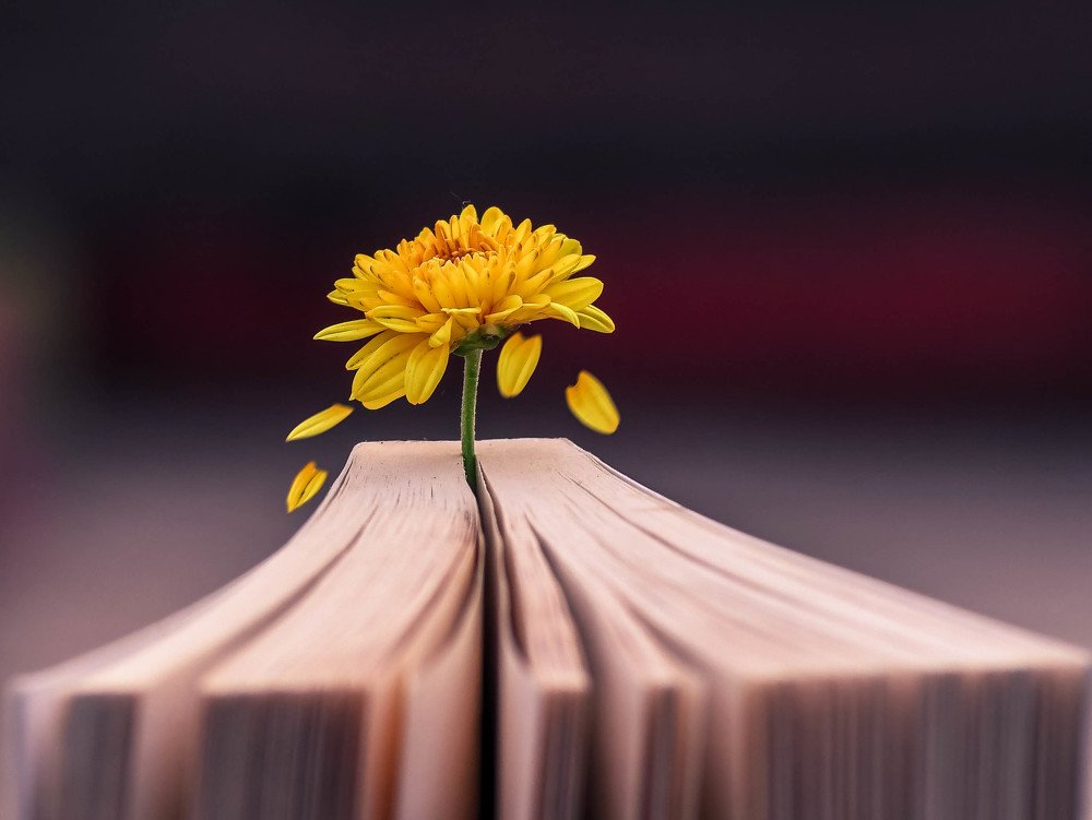 Photograph by sayantani basu