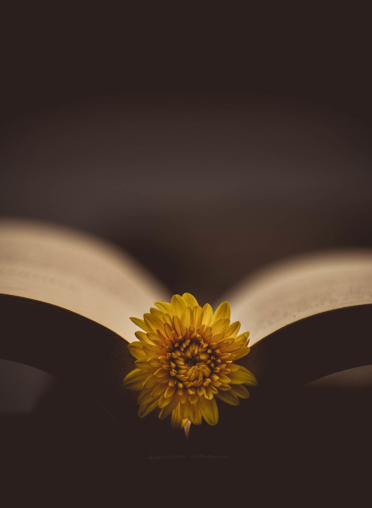 Photograph by sayantani basu