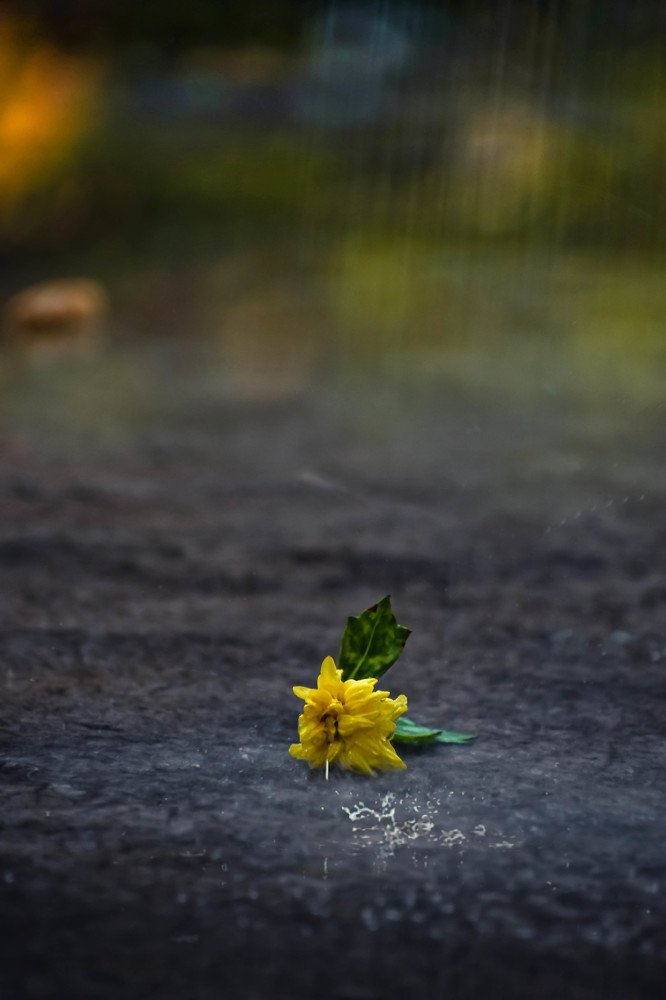 Photograph by sayantani basu