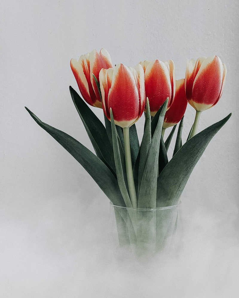 Photograph by Ирина Львова