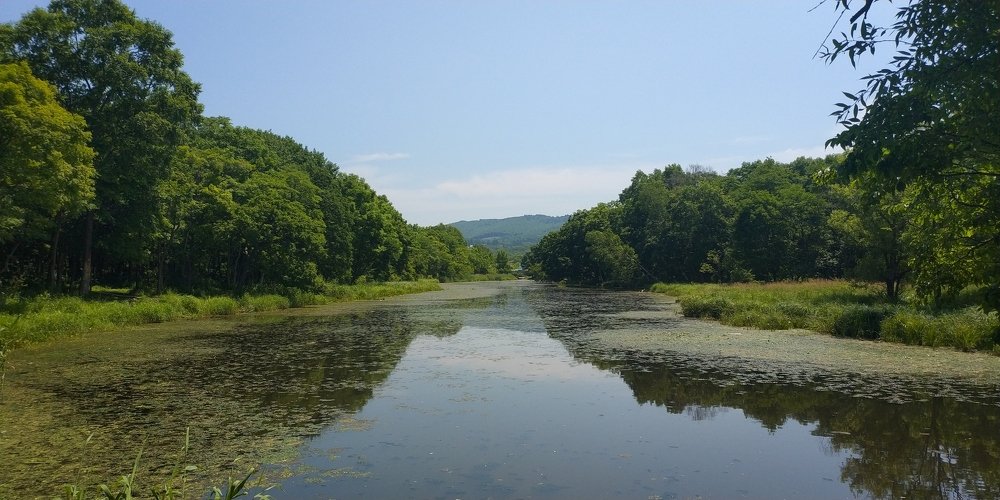 Photo #4751453