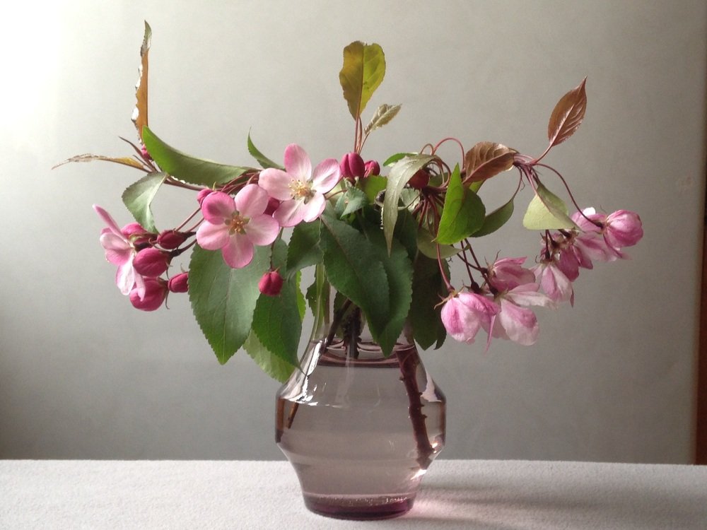 Photograph by Ирина Тимонина