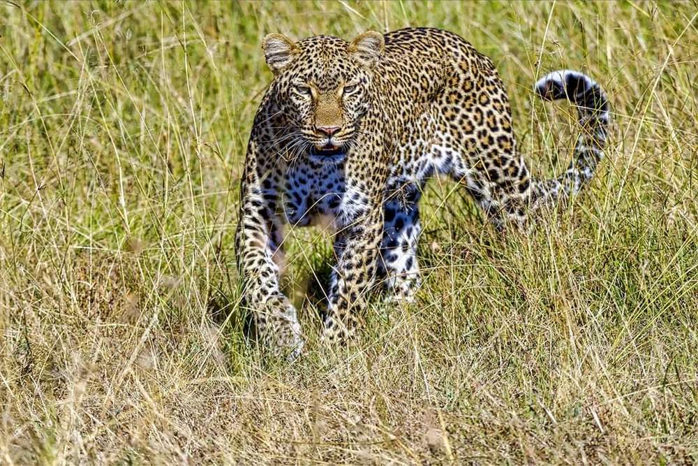 Photograph by Jayantilal B. Jain