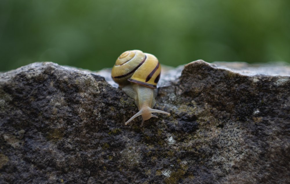 Photograph by Ксения Лаевская