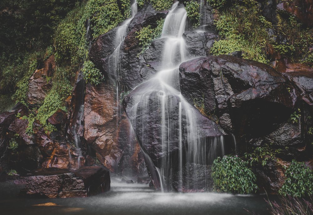 Inspira-se com a Natureza .