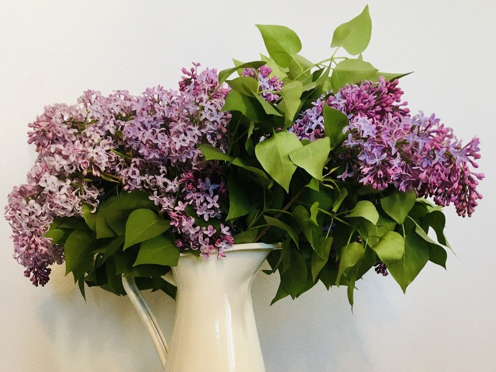 Photograph by Юрий Хорошев