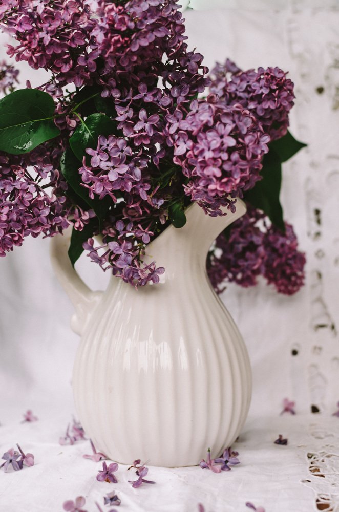 Photograph by Елизавета Фирстова