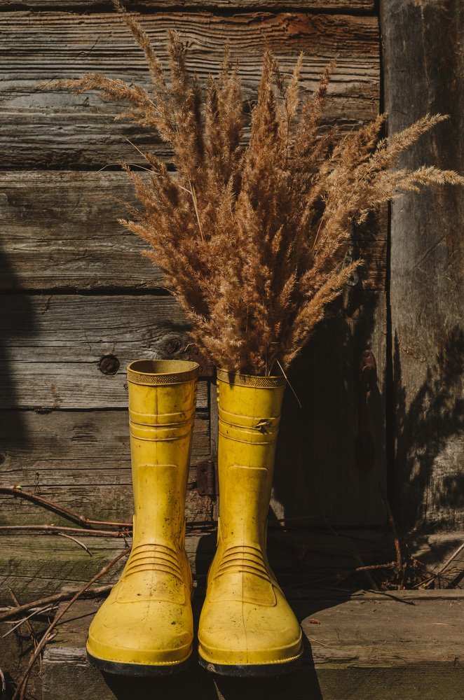 Photograph by Елизавета Фирстова