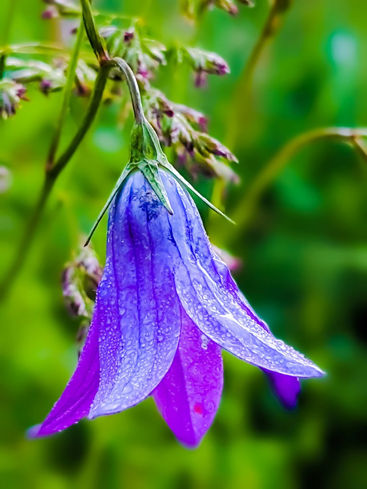 Photograph by Денис