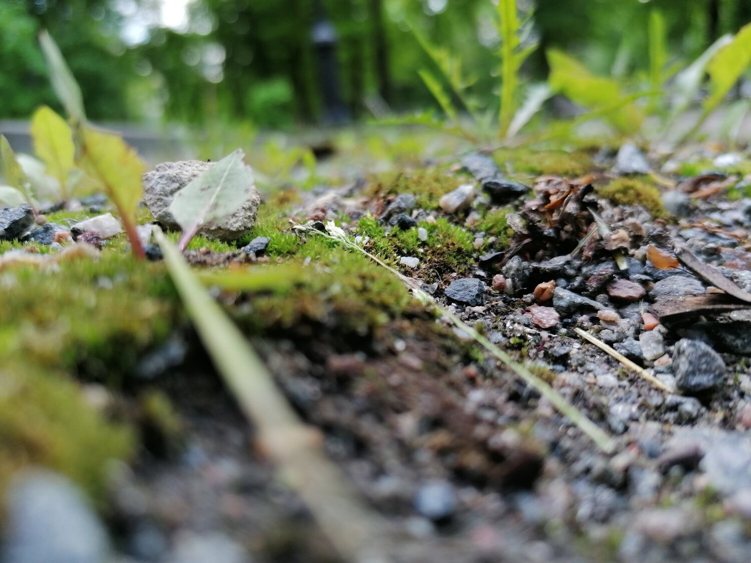 Photo #4751669