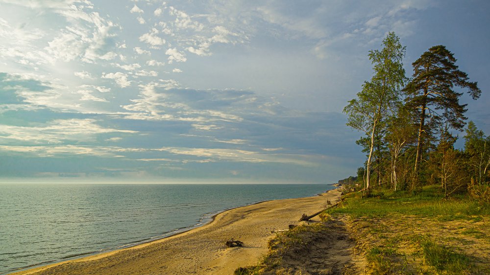 Photograph by 