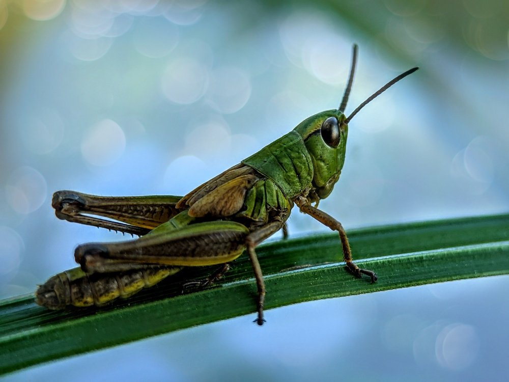 Photograph by Денис