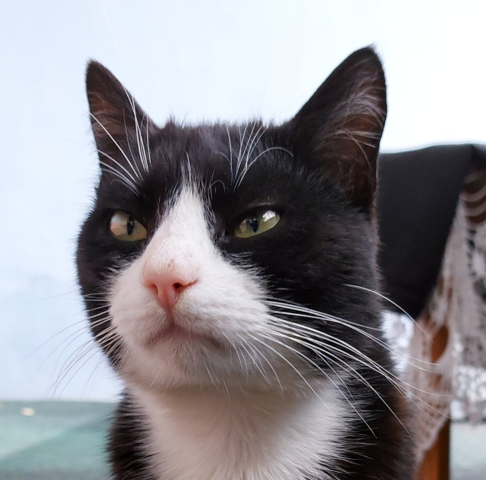 Photograph by iulia falo