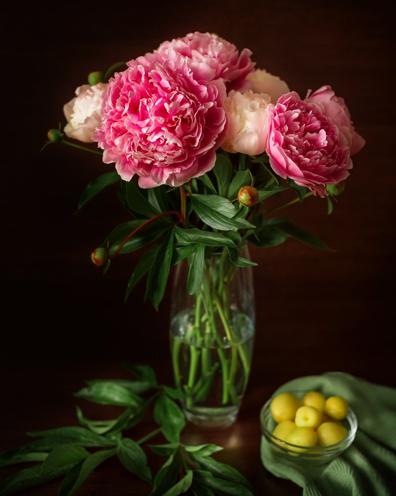 Фотография автора Елена Баклач