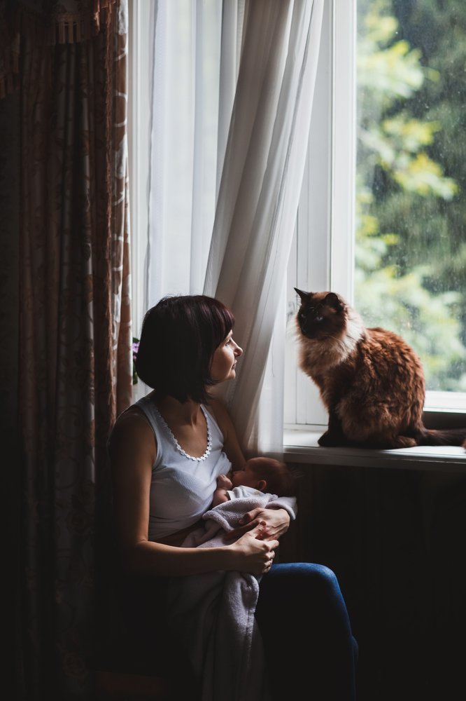 Photograph by Елена Шпагина