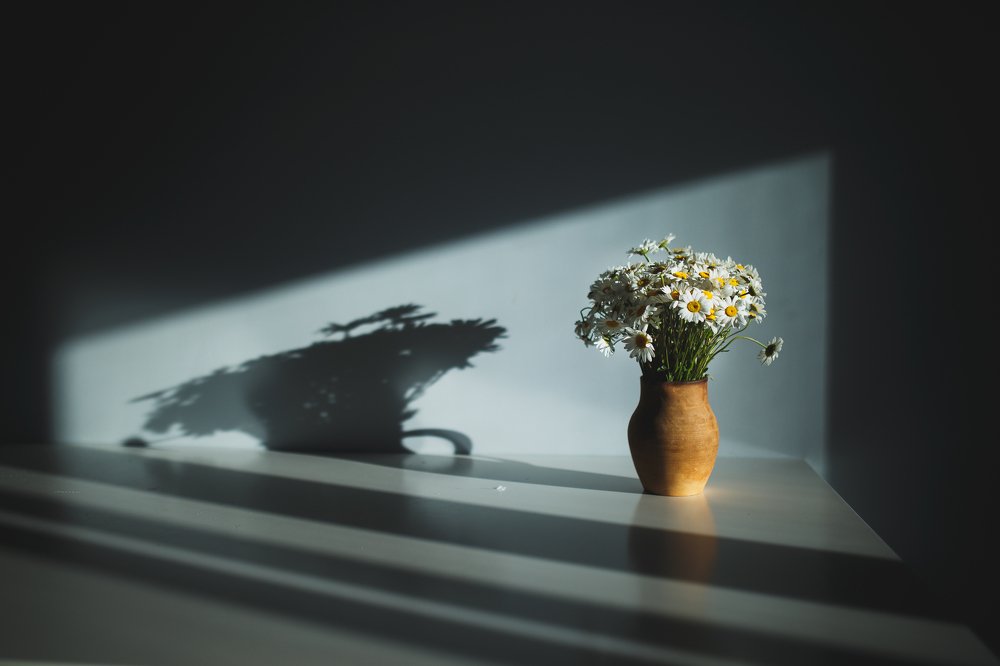 Photograph by Елена Шпагина