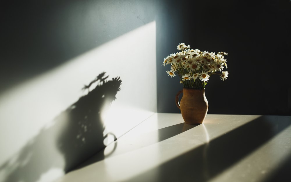 Photograph by Елена Шпагина