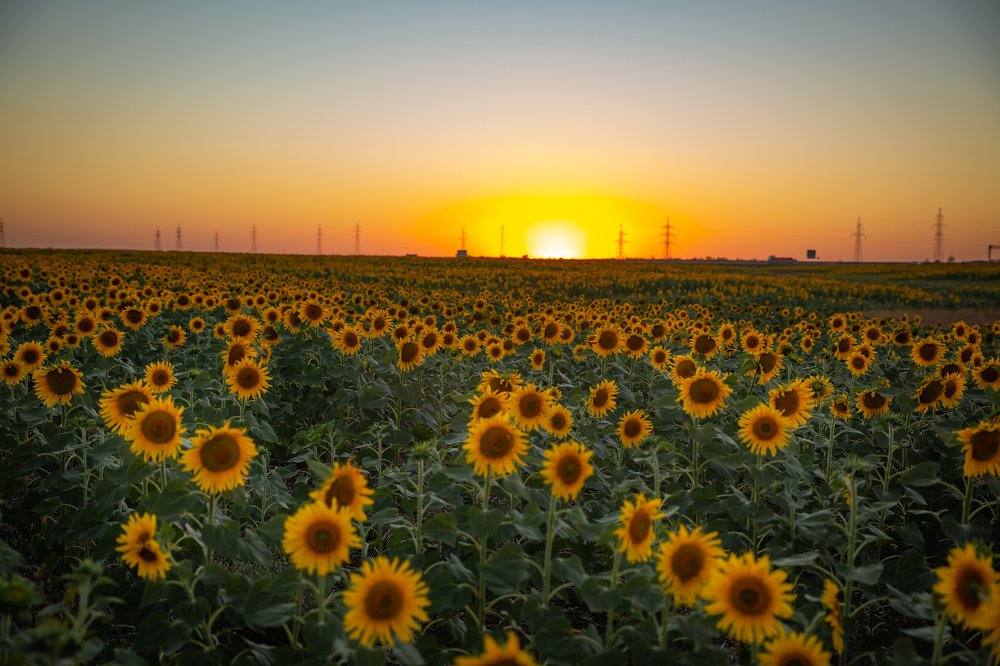 Photograph by Наталья Булгакова