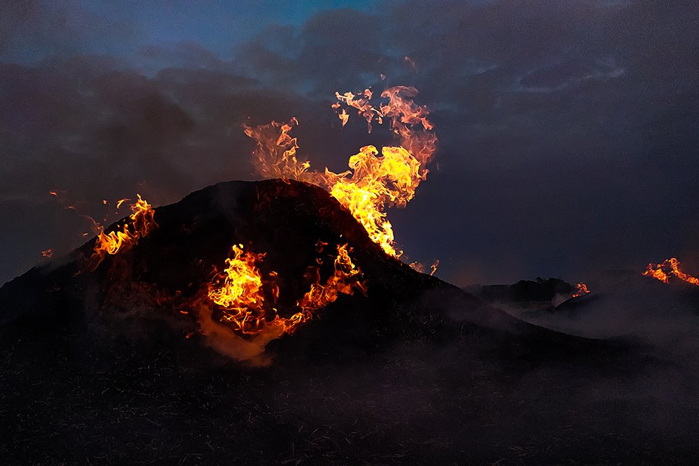 Photograph by Sayan Roy
