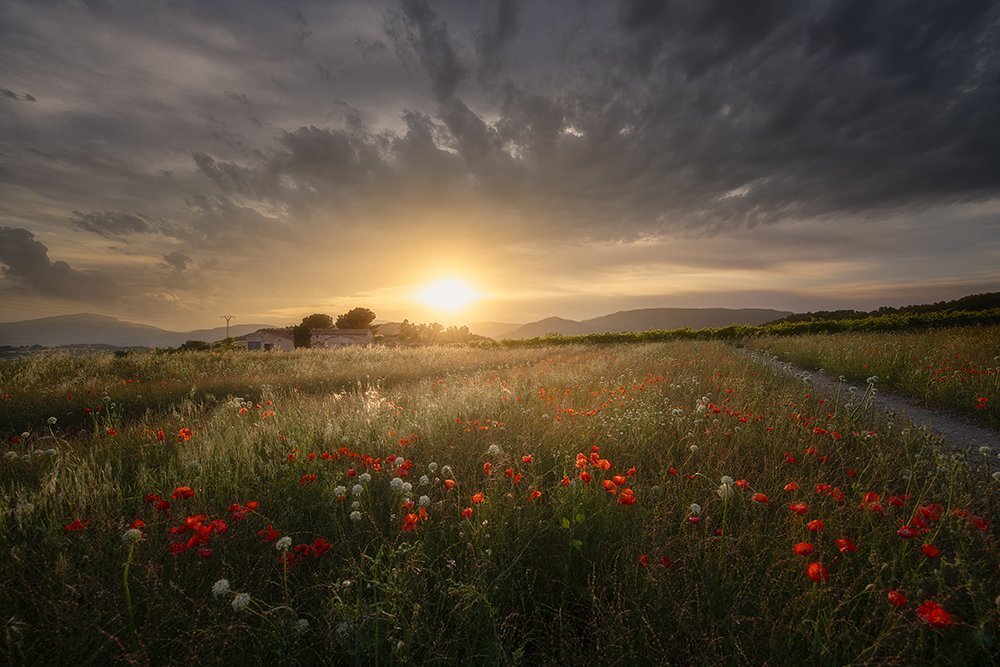 Photograph by Jose Herrero Ureña