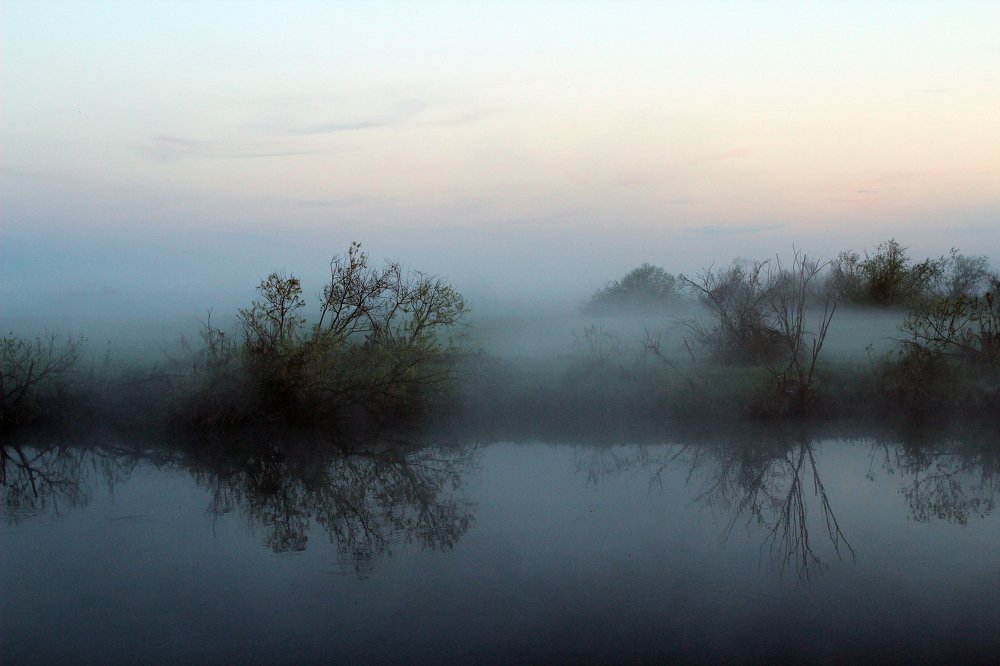 Photograph by Галина Щурова