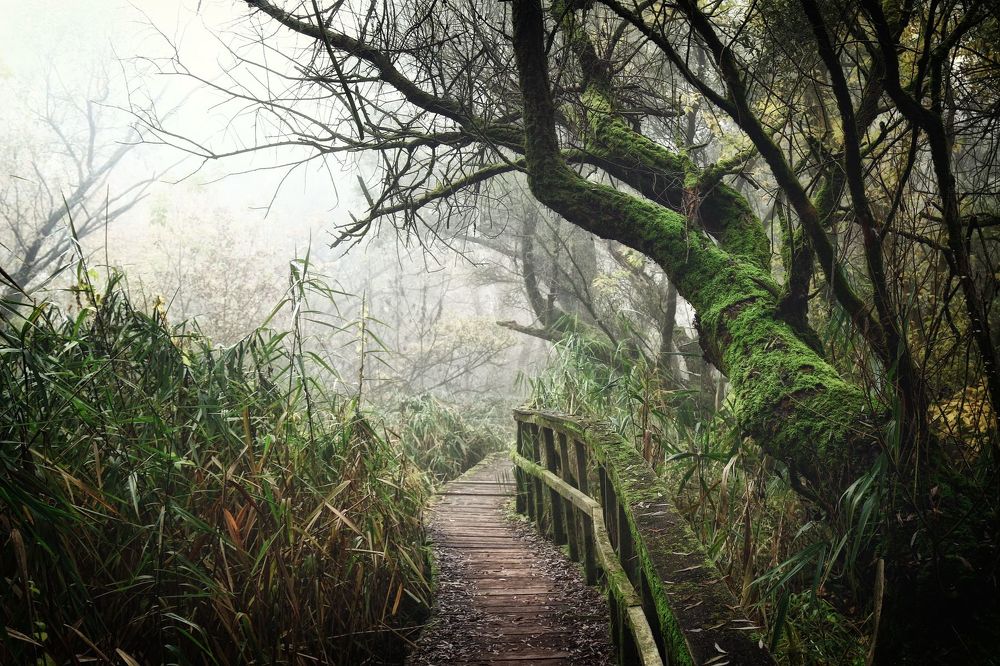 Silence and emptiness