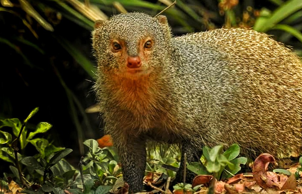 Photograph by Sayan Roy