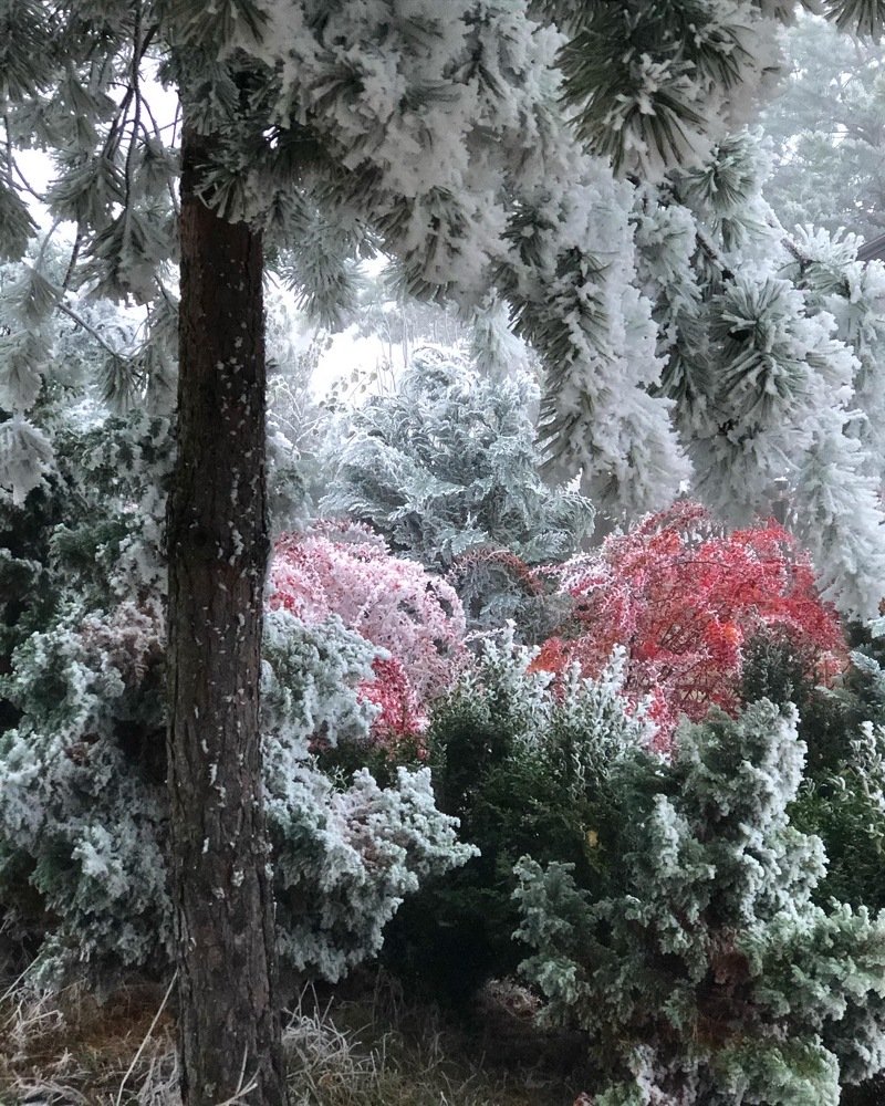 Photograph by Ольга Андрусив