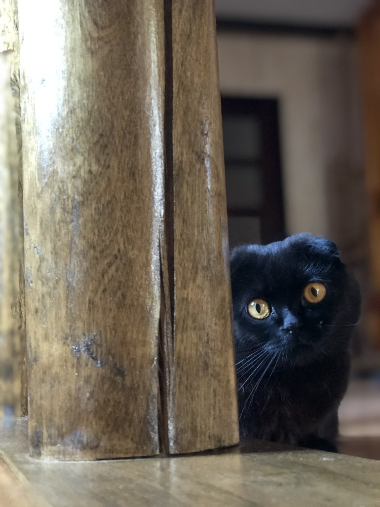 Photograph by Ольга Андрусив