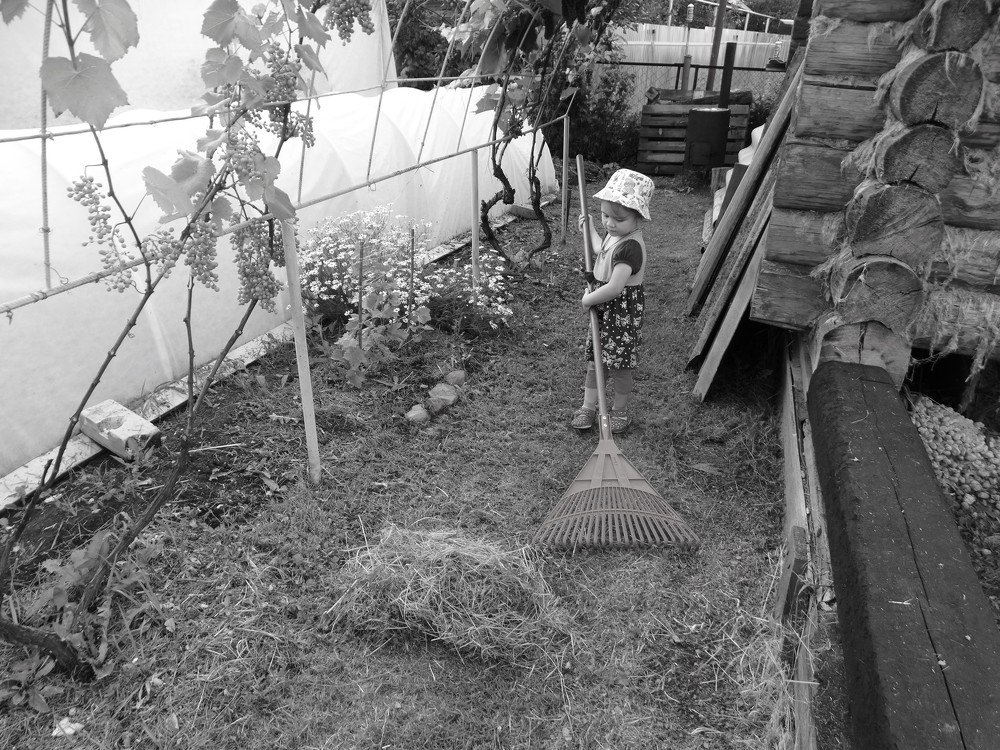 Photograph by Елена Стрельцова