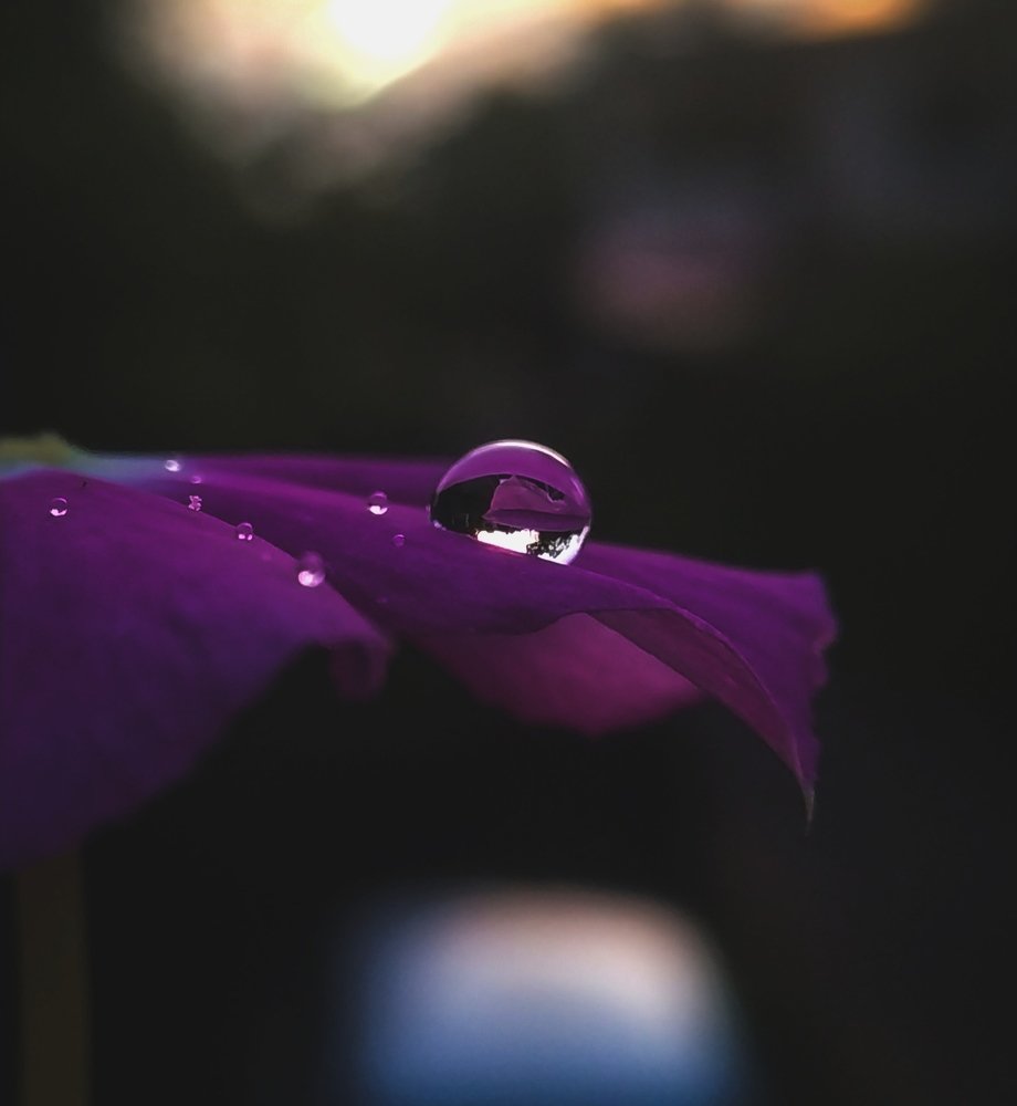 Water drop