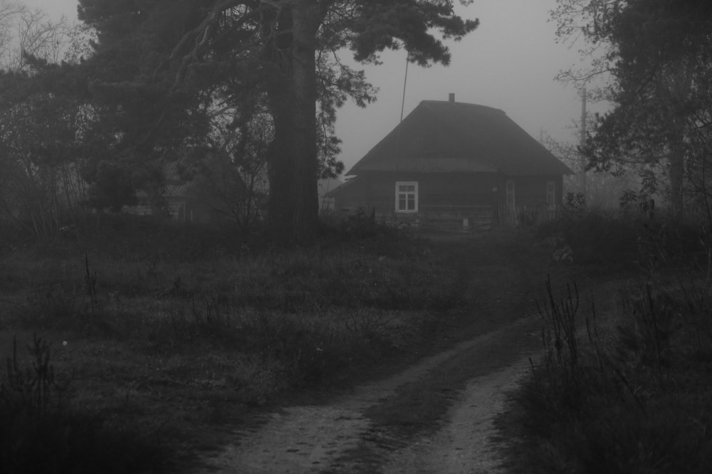 Фотография автора Наталья Васько -Черданцева