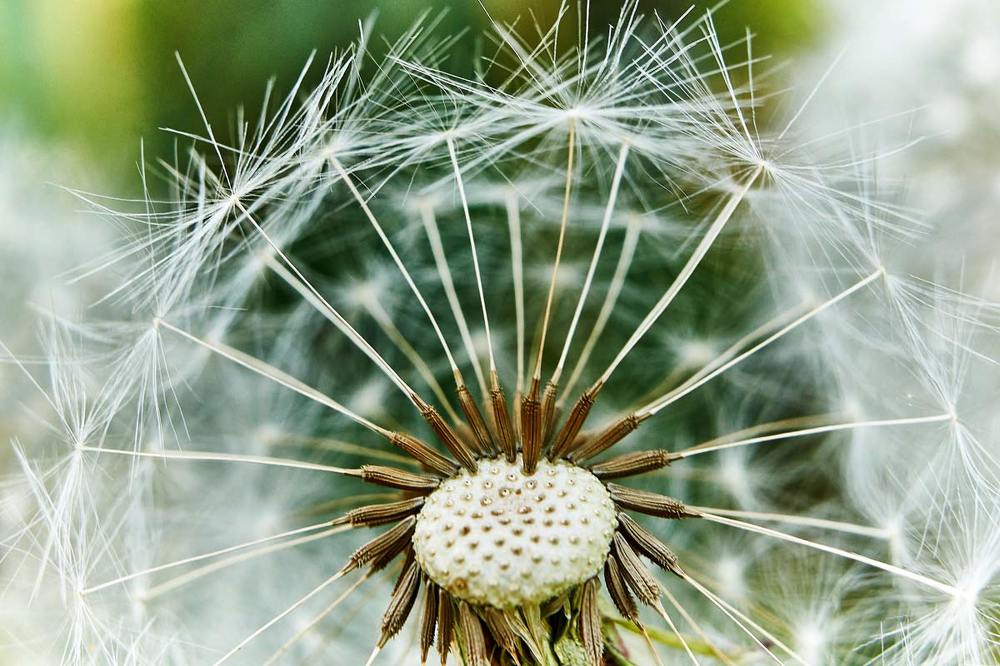 Фотография автора Сергей Низовцев